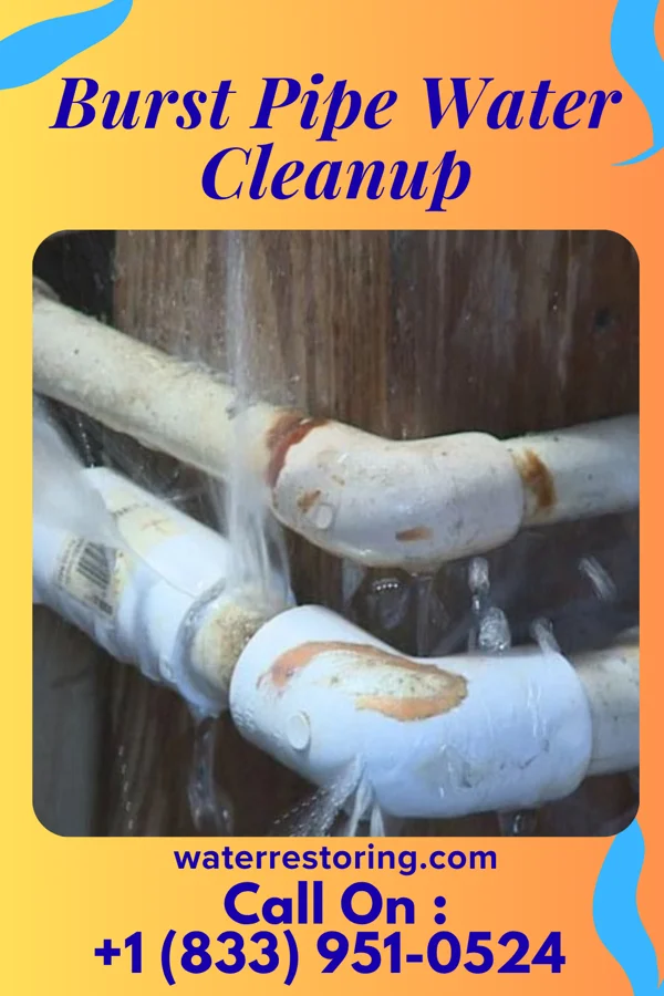Burst Pipe Water Cleanup in Wanamie, PA