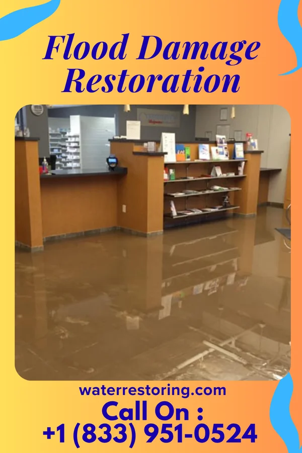 Flood Damage Restoration in Wanamie, PA