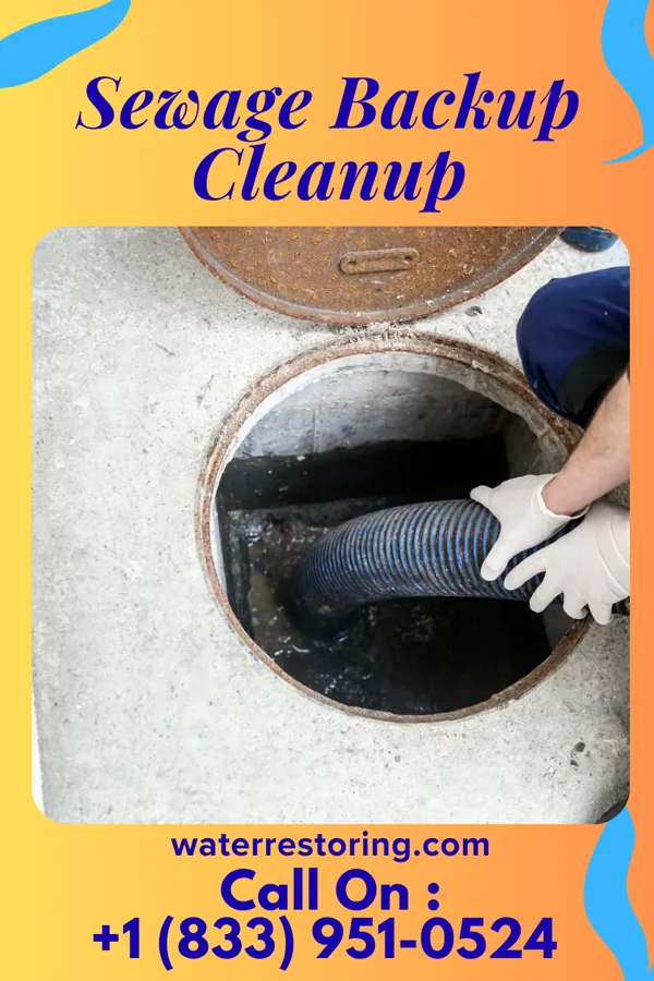 Sewage Backup Cleanup in Wanamie, PA