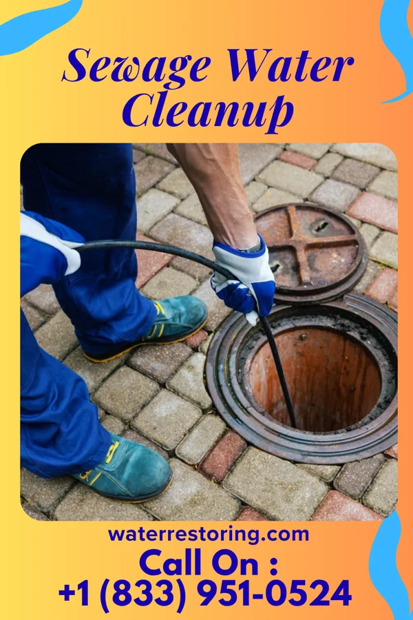 Sewage Water Cleanup in Wanamie, PA