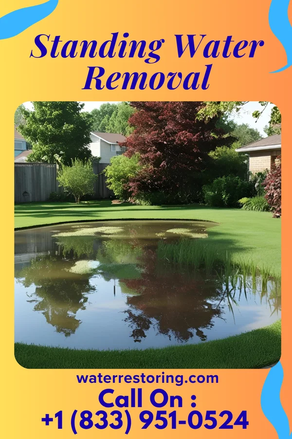 Standing Water Removal in Wanamie, PA